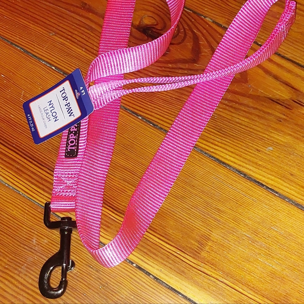 4ft Nylon Leash in Pink